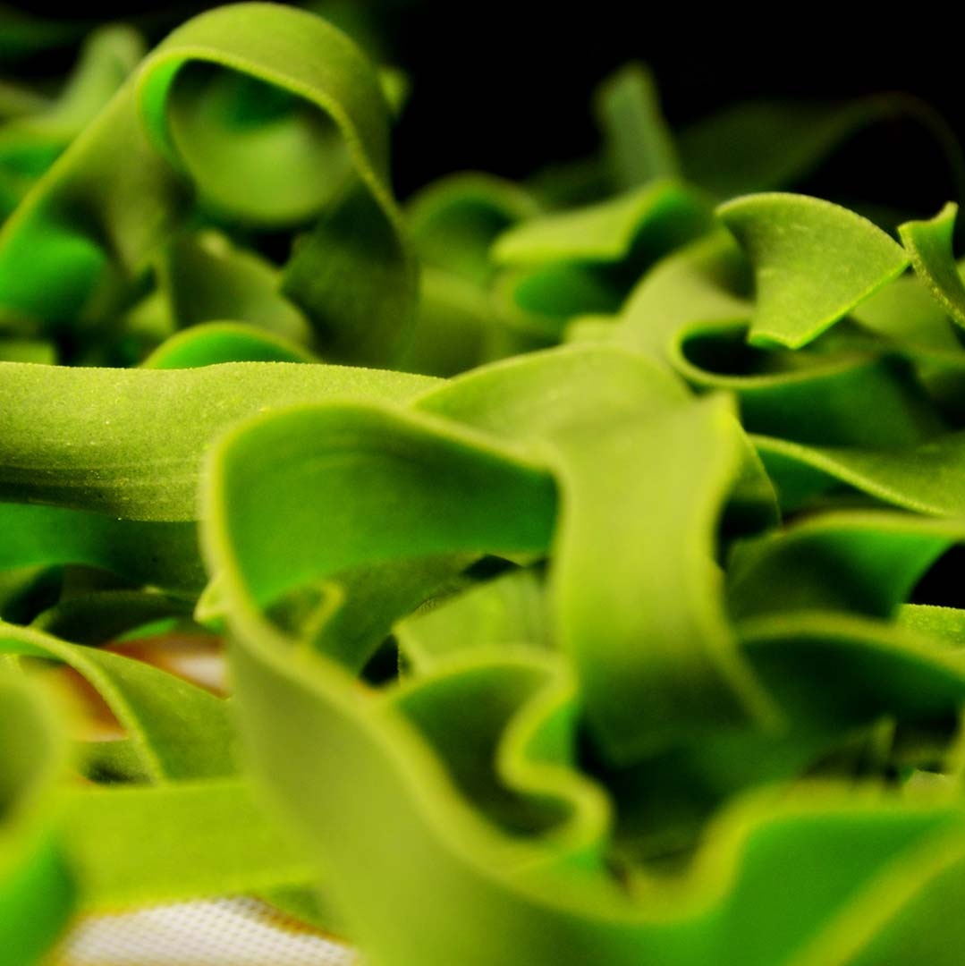 cropped-sili-testenine-siroki-rezanci-spinaca.jpg